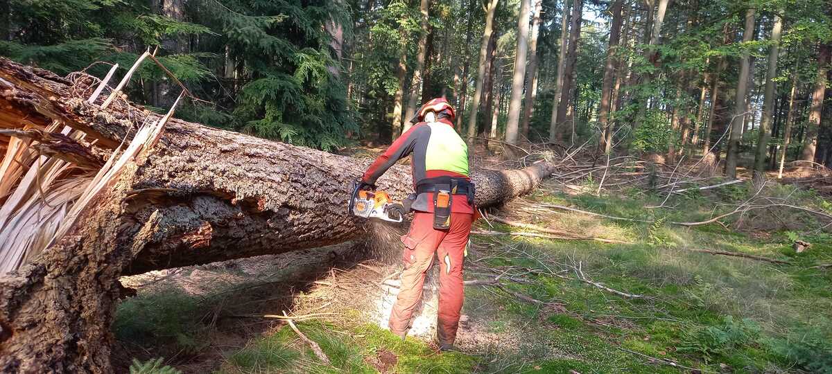 Pouwel pouwelbosonderhoud