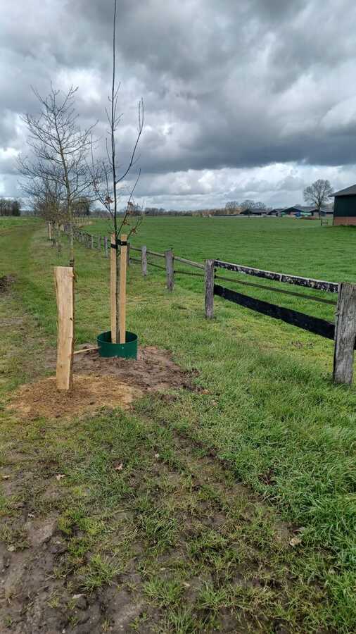 Pouwel pouwelbosonderhoud