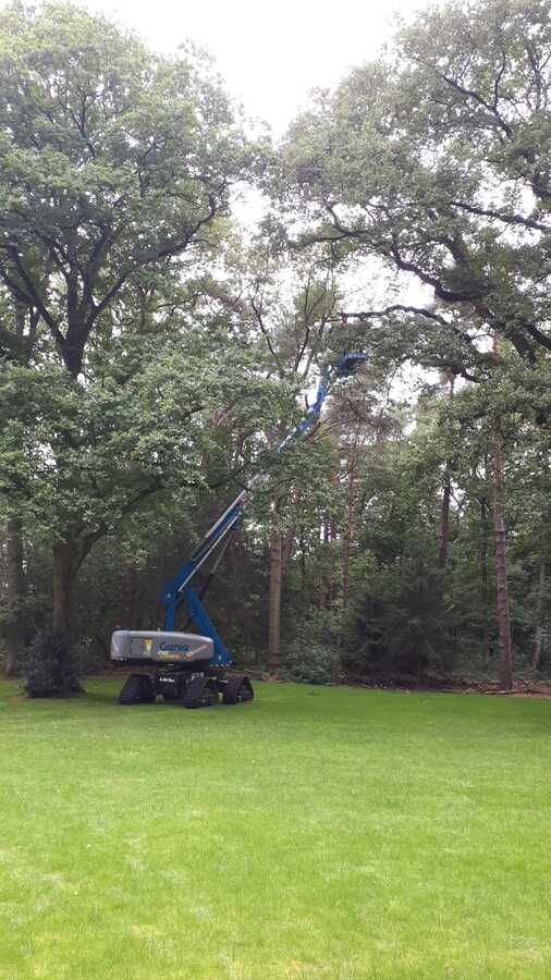 Pouwel pouwelbosonderhoud Pouwel pouwelbosonderhoud