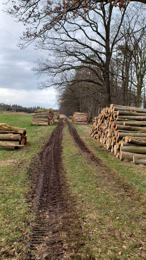 Pouwel pouwelbosonderhoud