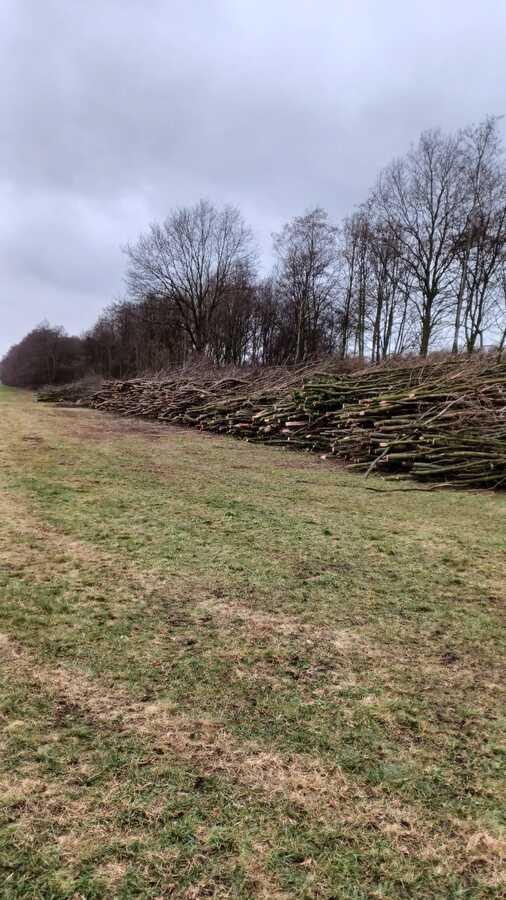 Pouwel pouwelbosonderhoud Pouwel pouwelbosonderhoud