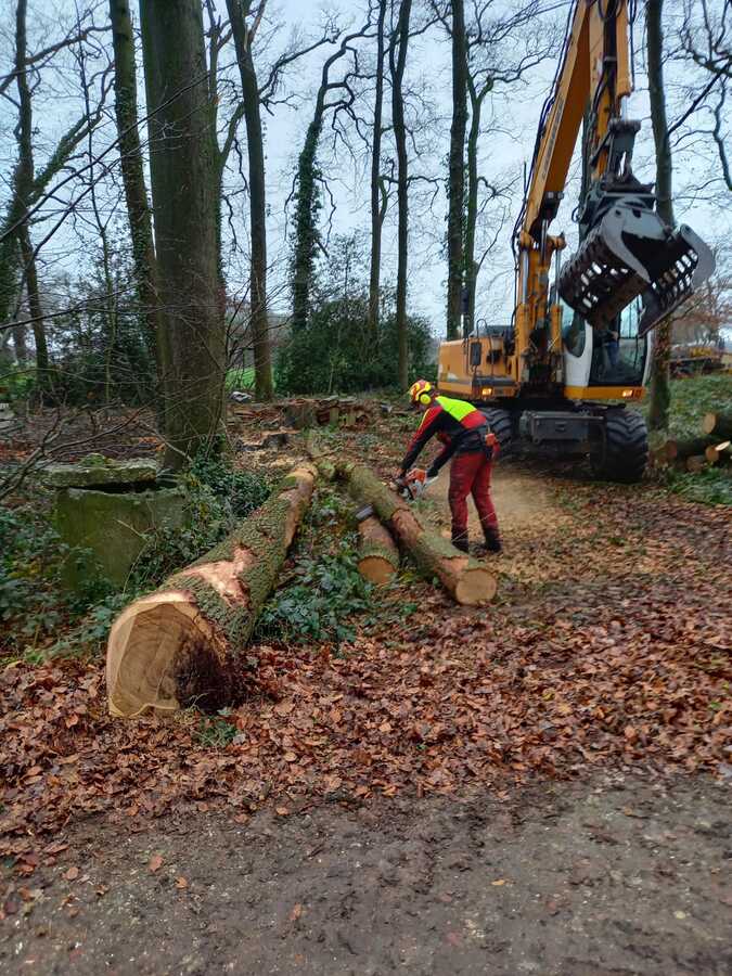 Pouwel pouwelbosonderhoud