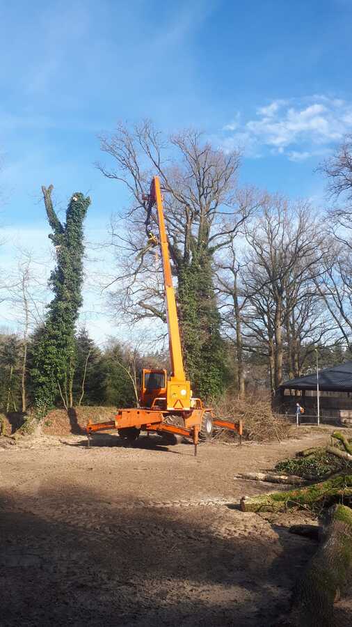 Pouwel pouwelbosonderhoud Pouwel pouwelbosonderhoud