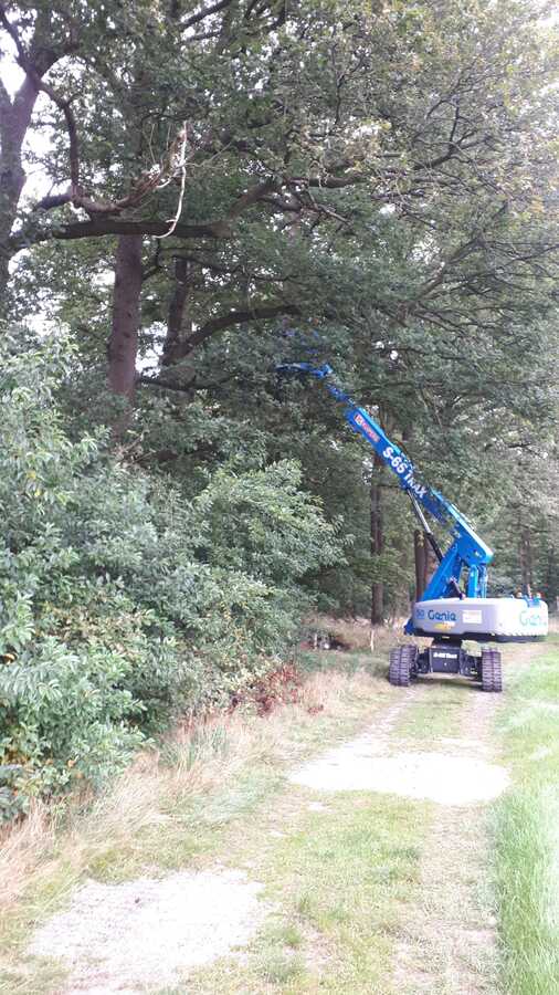 Pouwel pouwelbosonderhoud Pouwel pouwelbosonderhoud